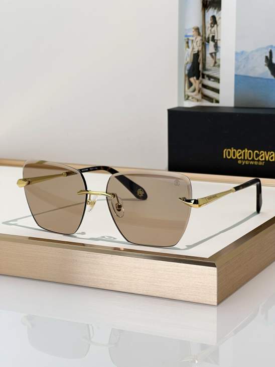 Picture of Roberto Cavalli Sunglasses _SKUfw79279463fw